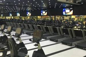 Ozi Gym & Spa Top & Best Gym in Chandigarh, Mohali