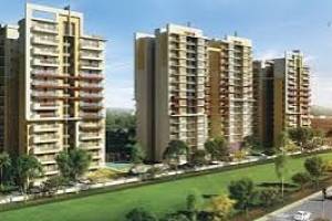 The  Green Lotus group  | Flats In Zirakpur | Best Properties in Tricity - Professional Services in Panchkula