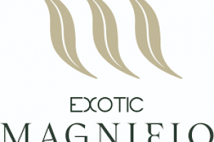 Ready to Move flats near Chandigarh  Panchkula | Exotic group Panchkula | Best flats in Tricity