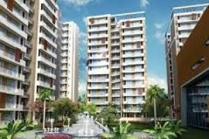The  Green Lotus group | High Security Luxury Green Apartments |  Flats in Tricity - Professional Services in India