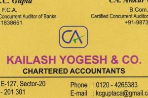 "Kailash Yogesh & Co.: Expert Chartered Accountants for Your Financial Success" - Accountants in India