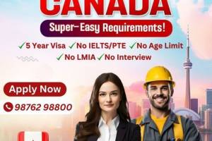 "Your Trusted Partner for Visa Solutions – Visa Support Services Pvt Ltd" - Visa Assistance in India