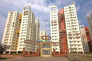 Zauba Corp https://www.zaubacorp.com › EDE... EDEN BUILDERS PRIVATE LIMITED - Company, directors and ... - Professional Services in Faridabad