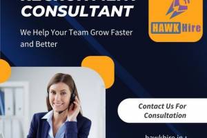 Expert Recruitment Services by Hawkhire HR Consultants: Your Partner for Talent Acquisition in Delhi NCR" - HR Consultant Jobs in India