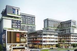 Sushma Pristine Zirakpur | Commercial properties in Zirakpur - Professional Services in Panchkula