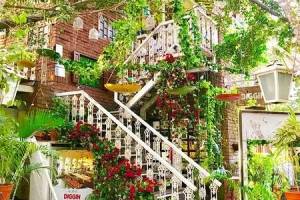 Diggin restaurant, Where Culinary Excellence Meets Cozy Elegance"Anand Lok, Delhi - Restaurant Deals in India
