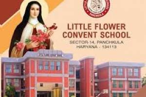 Little flower convent school | Top schools in Panchkula | Best schools in Tricity - Schools in Faridabad