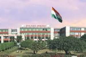 Rayat Bahra University | Best College in Tricity | Best College in Chandigarh - Education in India