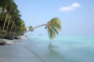 Kasims Beach Villa, Aggati island, Lakshadweep - Travel Agents in India