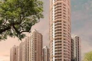 SAMRIDHI LUXURIYA AVENUE,  Luxurious 2 & 3 BHKs in Noida - Real Estate Agents in Faridabad