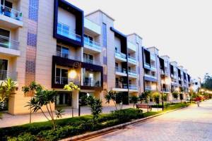 2,3,4 BHK Apartment,3 BHK Independent Floor in Zirakpur, Chandigarh - Real Estate Agents in Chandigarh
