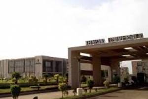 Thapar Institute of Management | Best College in Tricity | Best College in Chandigarh - Education in India