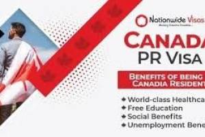 Nation wide Visas | Best Immigration Consultant in Chandigarh | Top immigration consultant in Chandigarh - Immigration Consultants in India