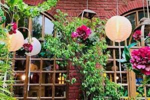 Diggin restaurant, Where Culinary Excellence Meets Cozy Elegance"Anand Lok, Delhi - Restaurant Deals in India