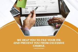Accurate Accountancy Services: Precision and Expertise in Financial Management" - Accountants in India