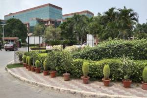 Fortis Hospital Mohali - Health Care Centres in India