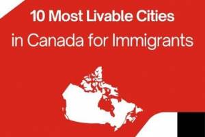 WWICS Immigration Group  | Best immigration Consultants in Chandigarh | Top 10 Immigration consultant - Immigration in India