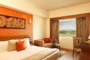 Lemon tree Premier | Best Hotel in Delhi | Best 5- star hotel in Delhi | Luxury hotels in Delhi - Vouchers / Coupons in Delhi