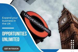 Blue Sapphire Immigration - Study And PR Visa Consultant | Chandigarh Top Consultant in Chandigarh - Immigration Consultants in India