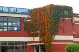 Banyan Tree School, best CBSE School in Chandigarh - Education in India