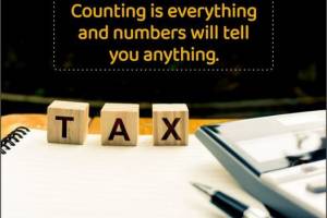 Accurate Accountancy Services: Precision and Expertise in Financial Management" - Accountants in India