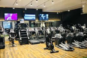 Athletque fitness & Spa  Delhi | Top  10  Gyms in Delhi | Best Gyms in Delhi | - Gyms in India