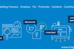 Digital Marketing Executive Specialist in Immigration Field - Office Jobs in India