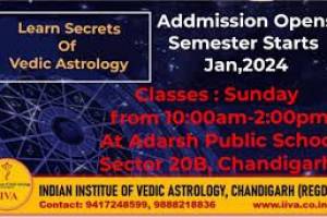 Indian Institute of Vedic Astrology Chandigarh | Best Astrology school in Chandigarh - Astrologers in India
