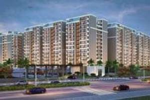 Flats in green lotus utsav, PR 7 200 ft wide Airport Road zirakp - Professional Services in Faridabad