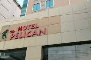 Hotel Pelican Chandigarh | Best wedding resorts in Chandigarh | Luxury resorts in Chandigarh - Wedding Planners in India