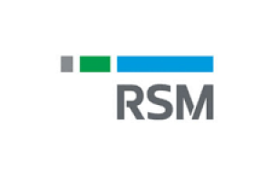"Financial Accountant at RSM India – Delivering Insightful Solutions" - Accountants in India