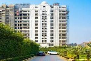 Ready to Move  3/4/5 BHK Flats in Panchkula | Exotic group Panchkula | Best flats in Tricity