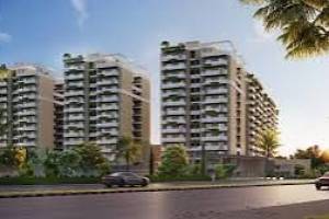 The  Green Lotus group  | Flats In Zirakpur | Best Properties in Tricity - Professional Services in Panchkula