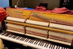 MUSICSHALA – Music School| Best Music Academy in Chandigarh | Top Music Academy in Chandigarh - Music Classes in India