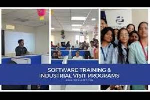 "Techasoft – Innovating IT Solutions for Businesses in India" - IT Consultants in India