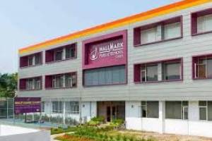 Hallmark Public School | Top schools in Panchkula | Best schools in Tricity - Schools in Faridabad