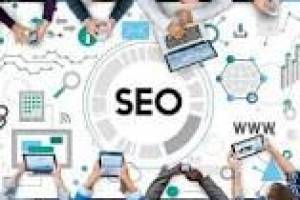 SEO Fresher (Night Shift) Opportunity at Cogniter Technologies in Chandigarh - Office Jobs in India