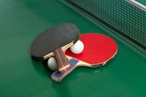 Get the Best Sports Equipment at Prime Sports Chandigarh" - Tennis Racket Dealers in India