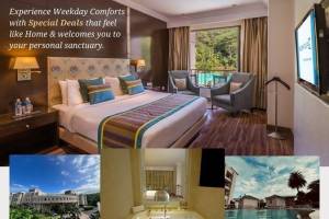 Make Your Weekdays Memorable with Special Discounts and Regal Comfort at Golden Tulip, Chandigarh-Panchku - Immigration Services in India