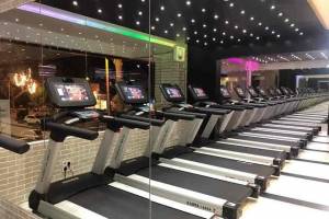 Ozi Gym & Spa Top & Best Gym in Chandigarh, Mohali
