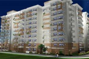 Panchkula Urban Estate  3 BHK Builder Floor for Sale in Panchkula - Professional Services in Faridabad