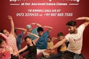 The ShowStoppers Dance Academy | Best Dance Studio in  Chandigarh | Top Dance School in Chandigarh | - Dance Classes in India