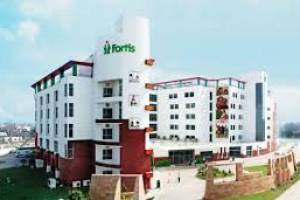 Fortis hospital Delhi | Best Hospital in  Delhi  | Top Hospital in Delhi - Health Care Centres in India