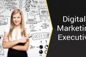 Digital Marketing Executive Specialist in Immigration Field - Office Jobs in India