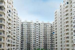 Gulshan Homes,  2 BHK Flats, 2  BHK Apartments in Noida Extension - Real Estate Agents in Faridabad