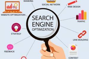 Digital Marketing Executive Specialist in Immigration Field - Office Jobs in India