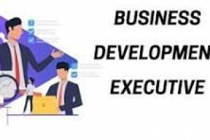 Join Our Team: Business Development Executive at Webpulse Solution Pvt Ltd., Delhi - Office Jobs in India